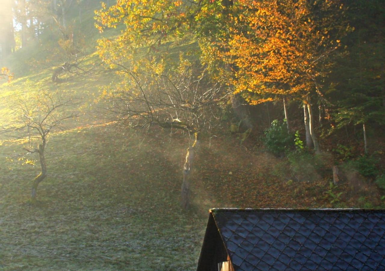 Fewo Gabi Haus Pacher Sankt Peter am Kammersberg Bagian luar foto