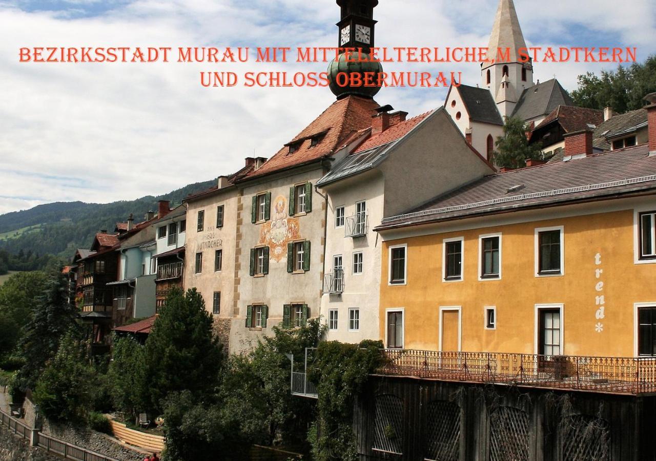Fewo Gabi Haus Pacher Sankt Peter am Kammersberg Bagian luar foto