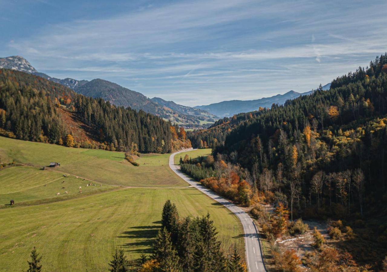 Fewo Gabi Haus Pacher Sankt Peter am Kammersberg Bagian luar foto